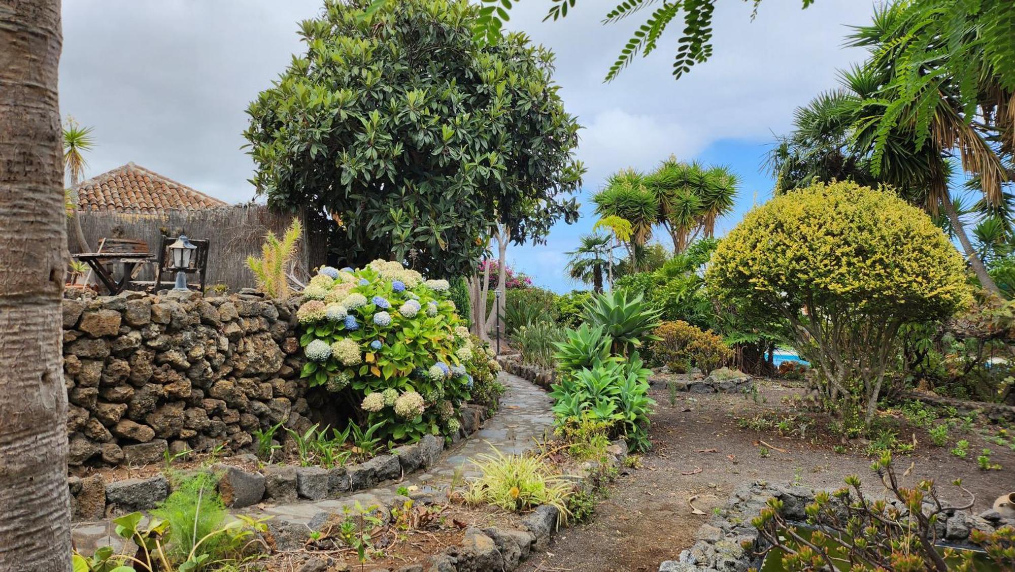 Oasis Hill Botanical Garden *