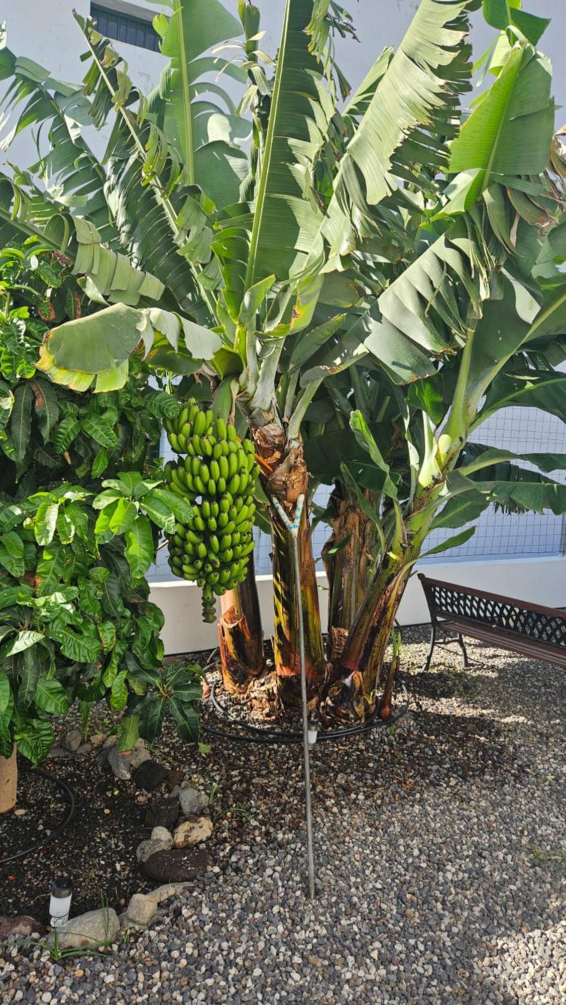 Casa Tina Сasa de vacaciones *