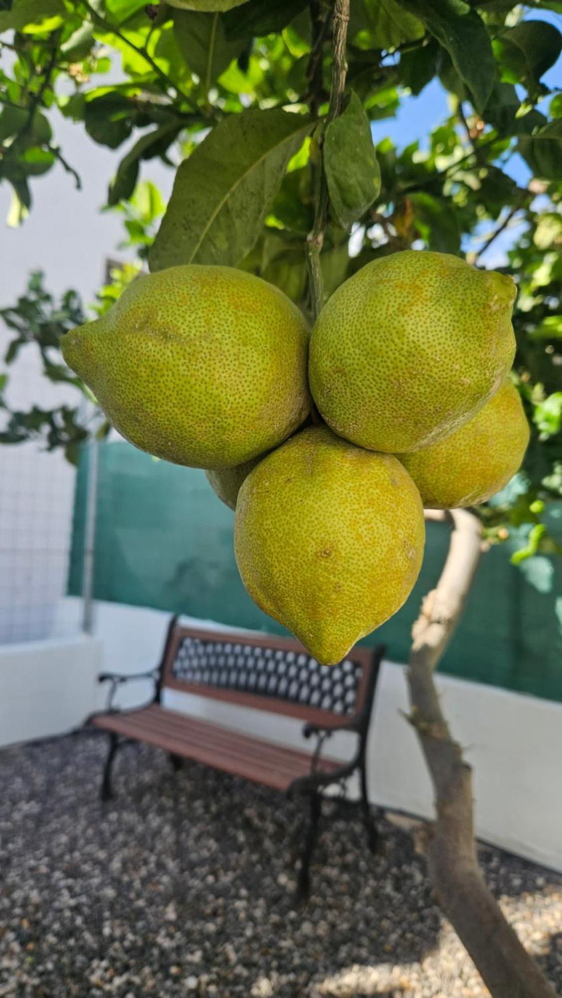 Сasa de vacaciones Casa Tina *