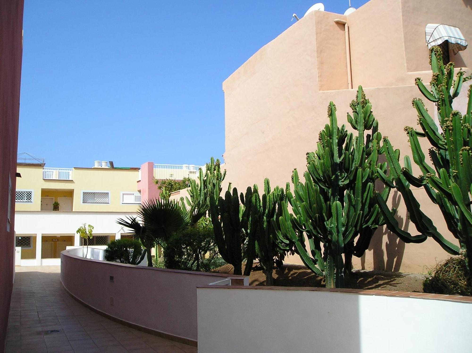 Sans Vis-a-vis Vue Ocean & Piscine,free Wifi,private Parking&solarium
