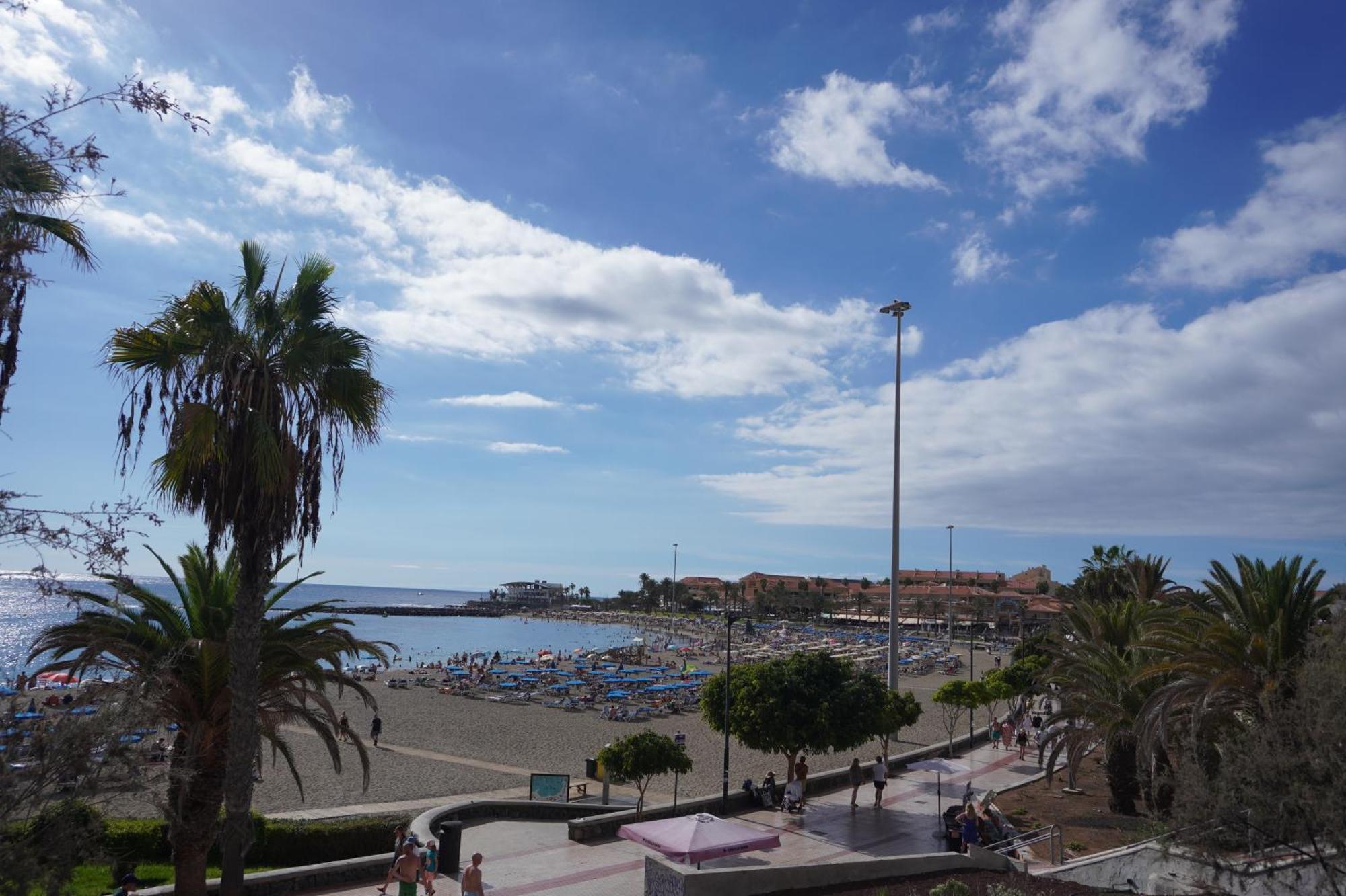 El Cardon Arona (Tenerife)