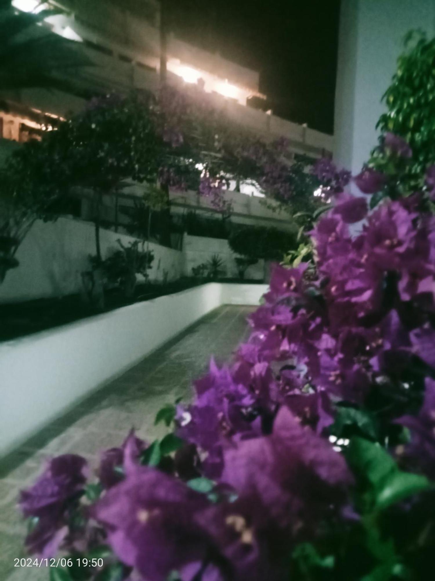 Penthouse Sea View Jacuzzy Terrace & Pool Apartment *