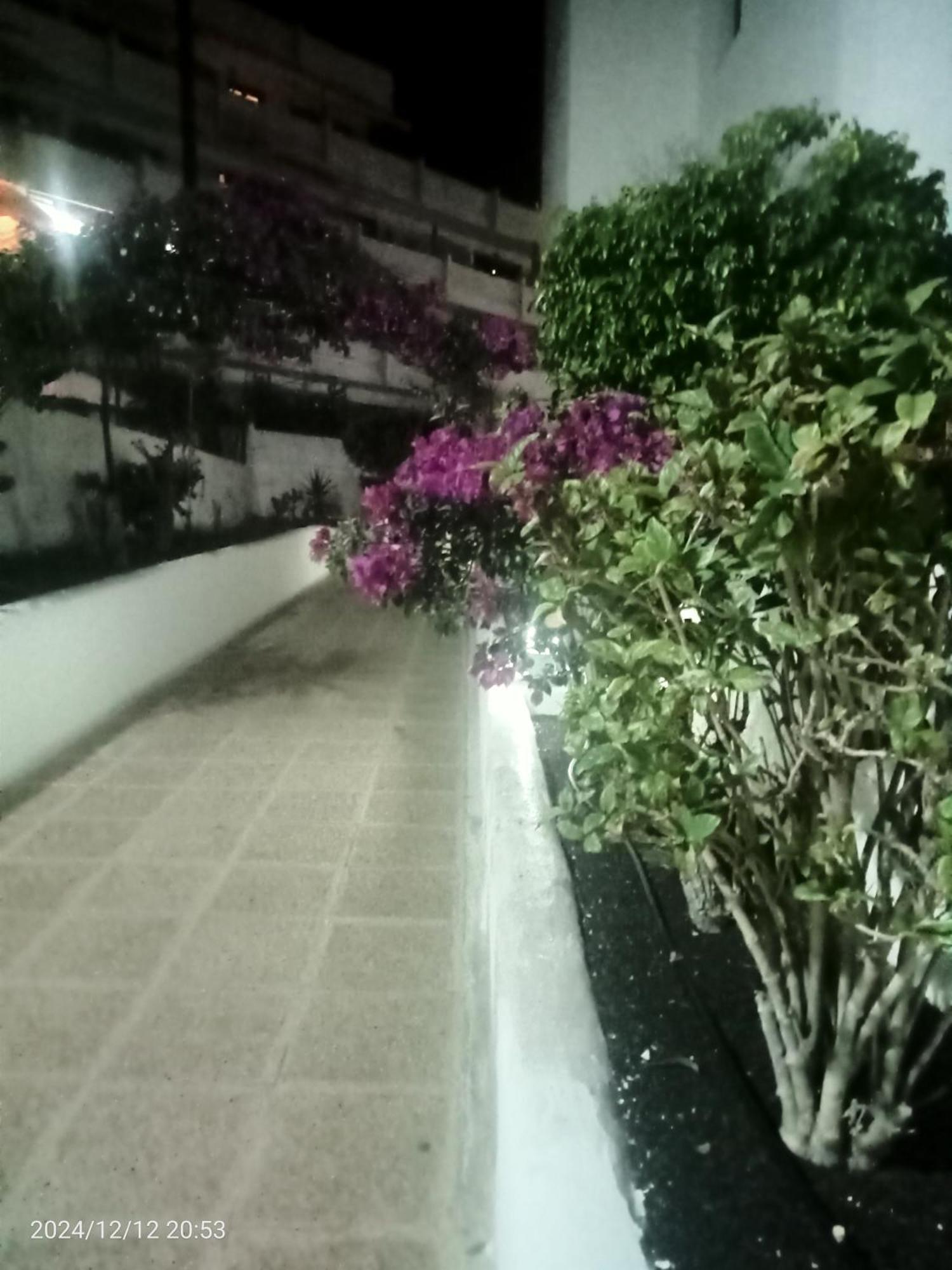 Apartment Penthouse Sea View Jacuzzy Terrace & Pool Playa Fanabe