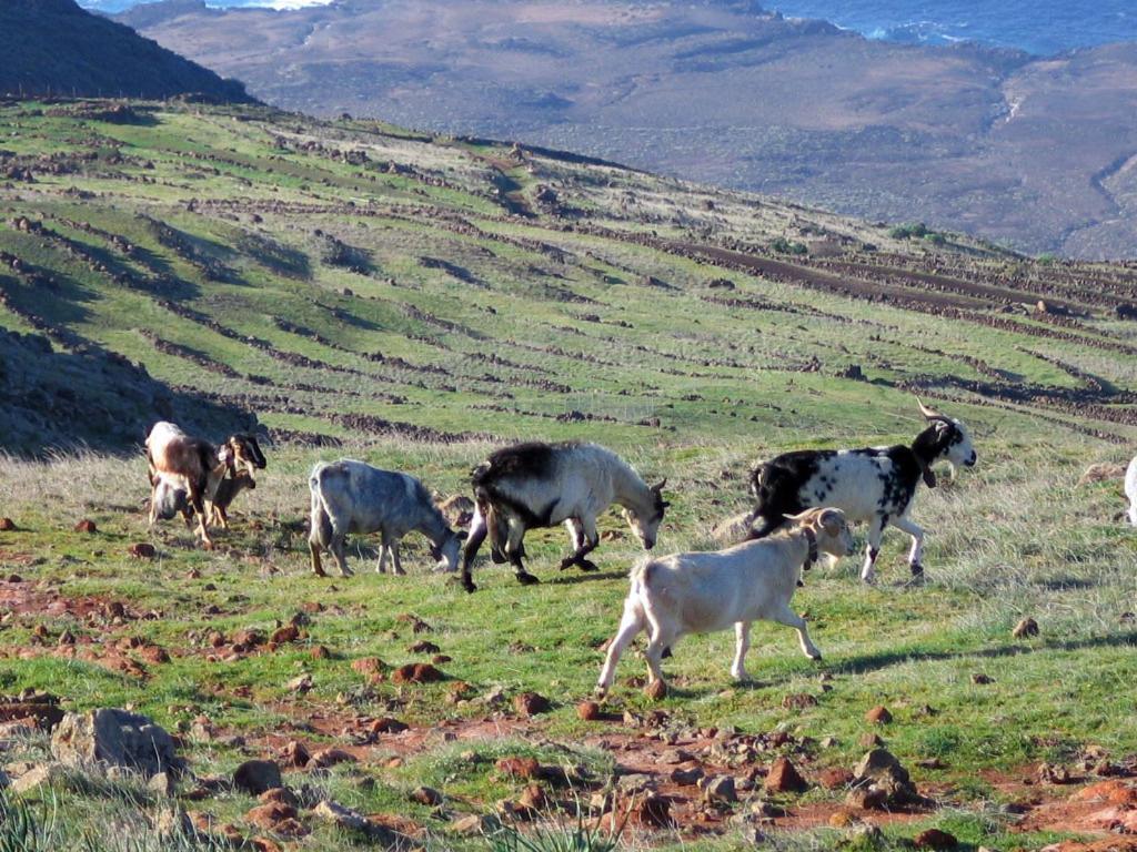 Lacasadelchorro