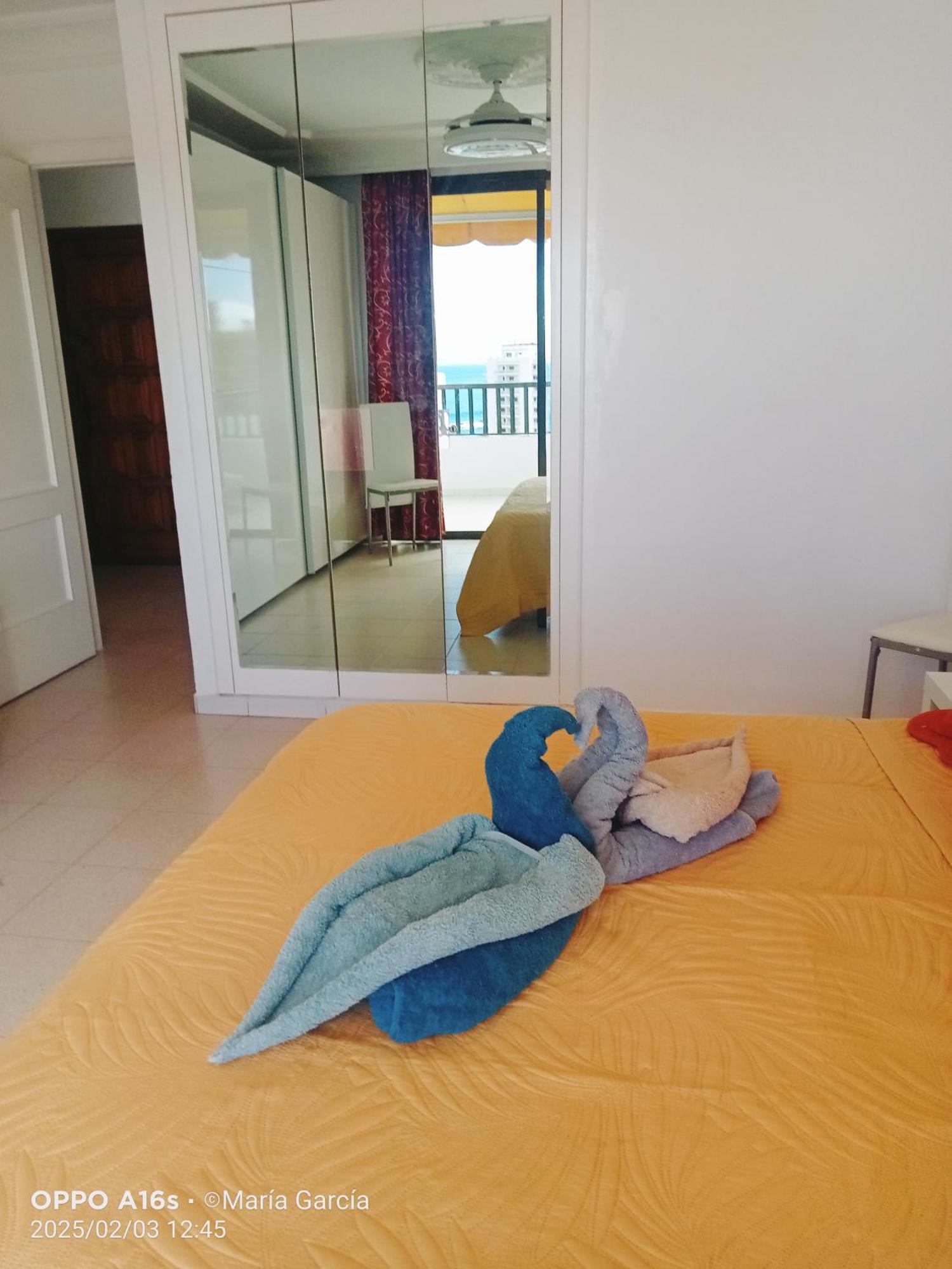 Penthouse Sea View Jacuzzy Terrace & Pool Playa Fanabe