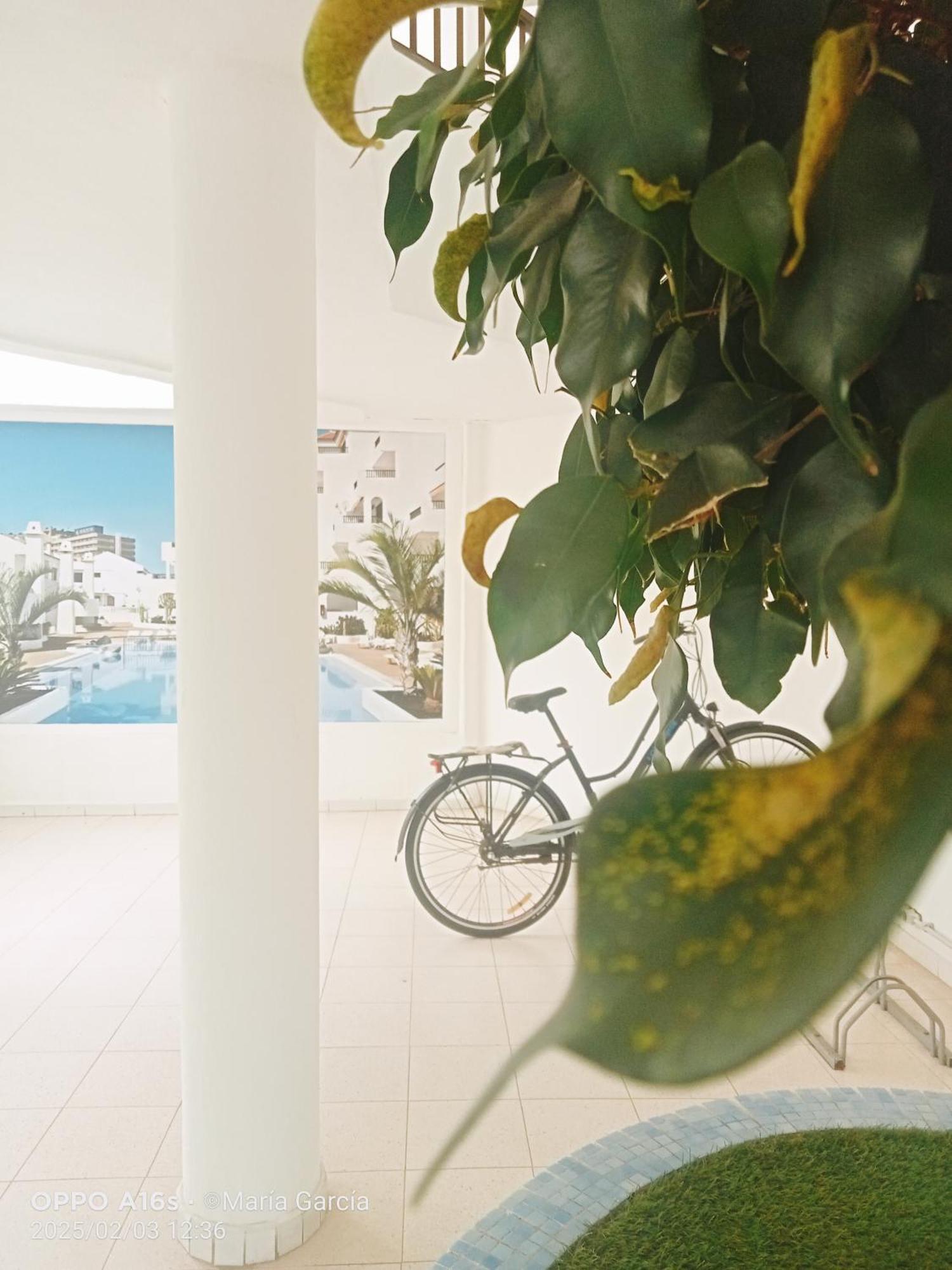 Penthouse Sea View Jacuzzy Terrace & Pool