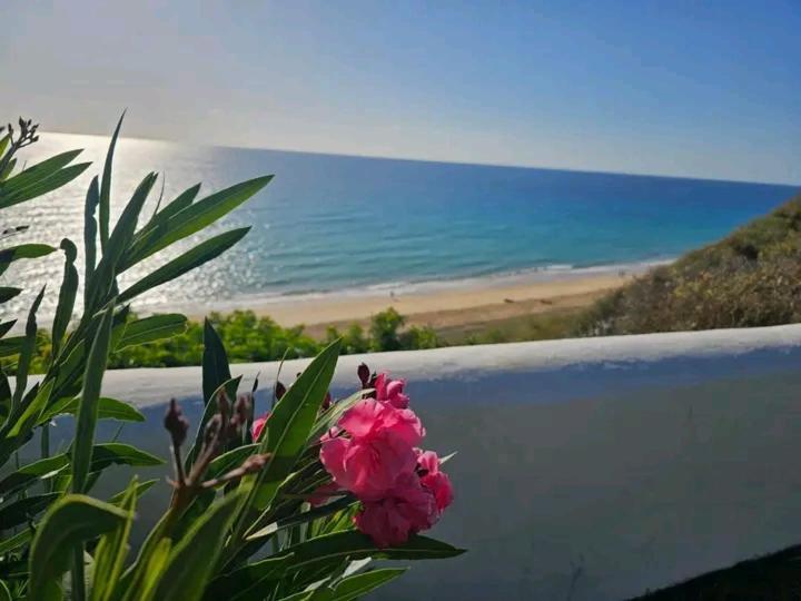 Penthouse Sea View Jacuzzy Terrace & Pool *
