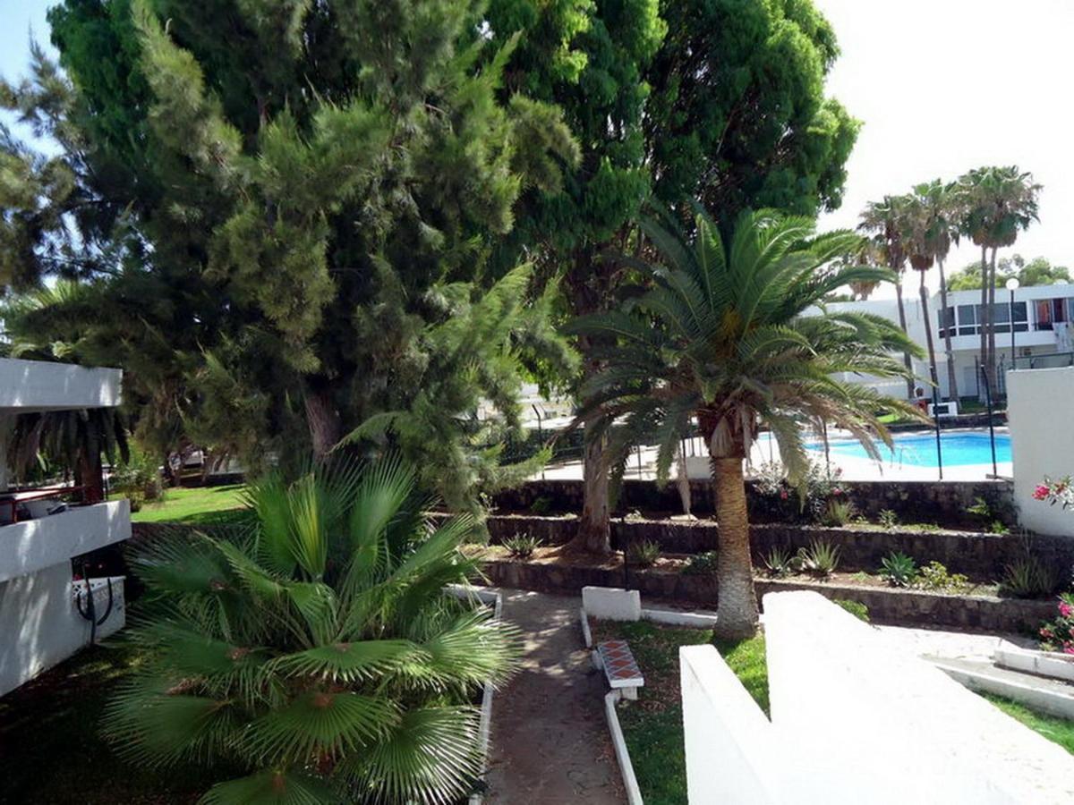 Appartement 1bed In Costa Del Silencio In South Coast *