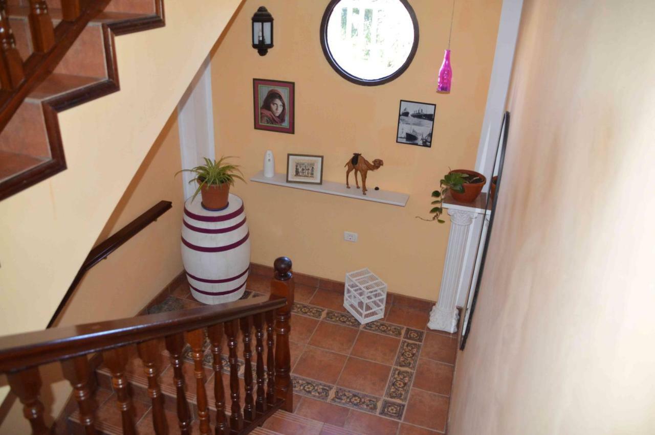Casa Tajinaste