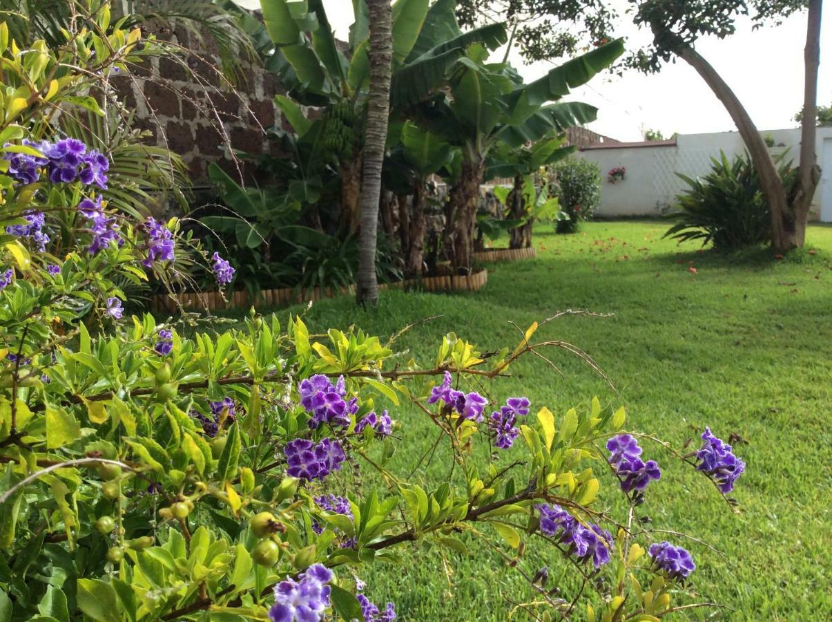 Finca Las Acacias Сasa de vacaciones