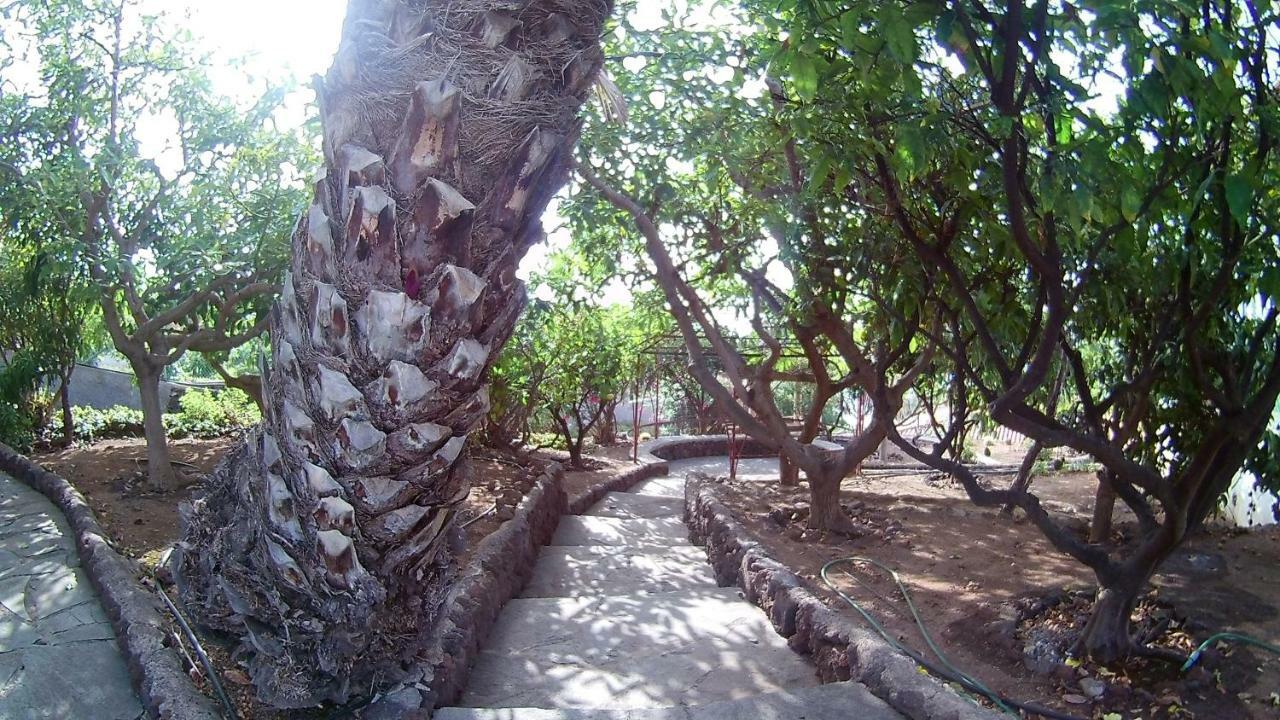 Necho La Orotava