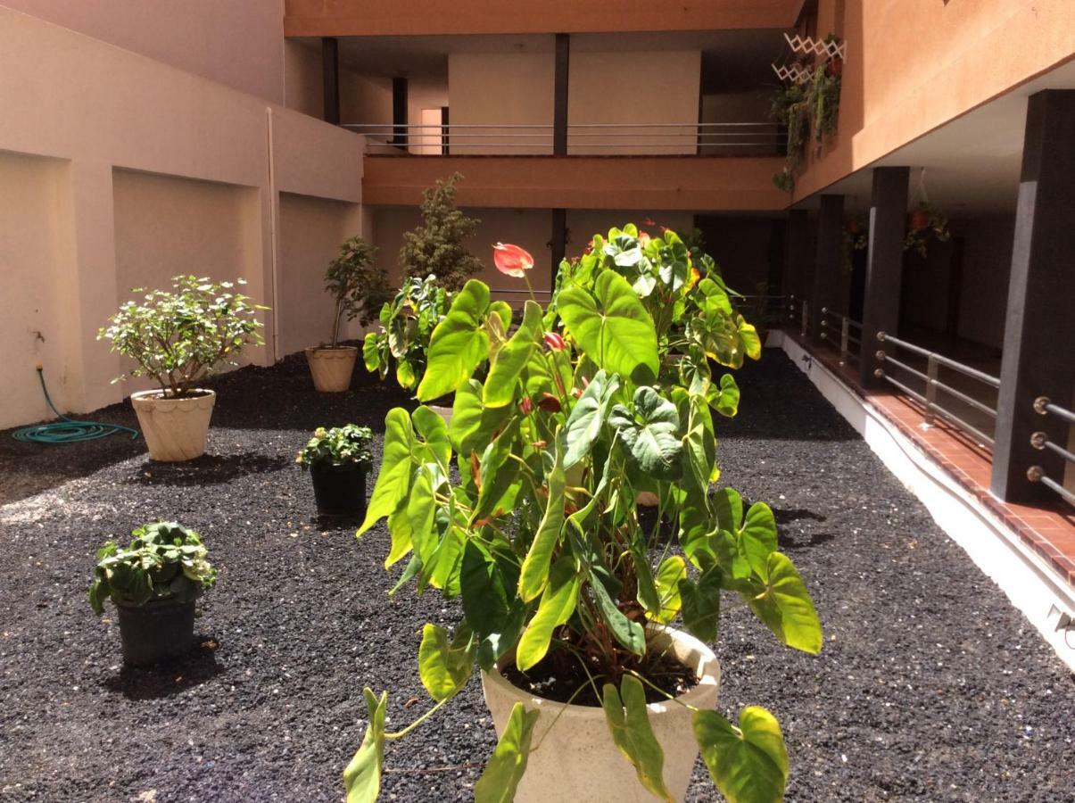 Appartement Martianez *