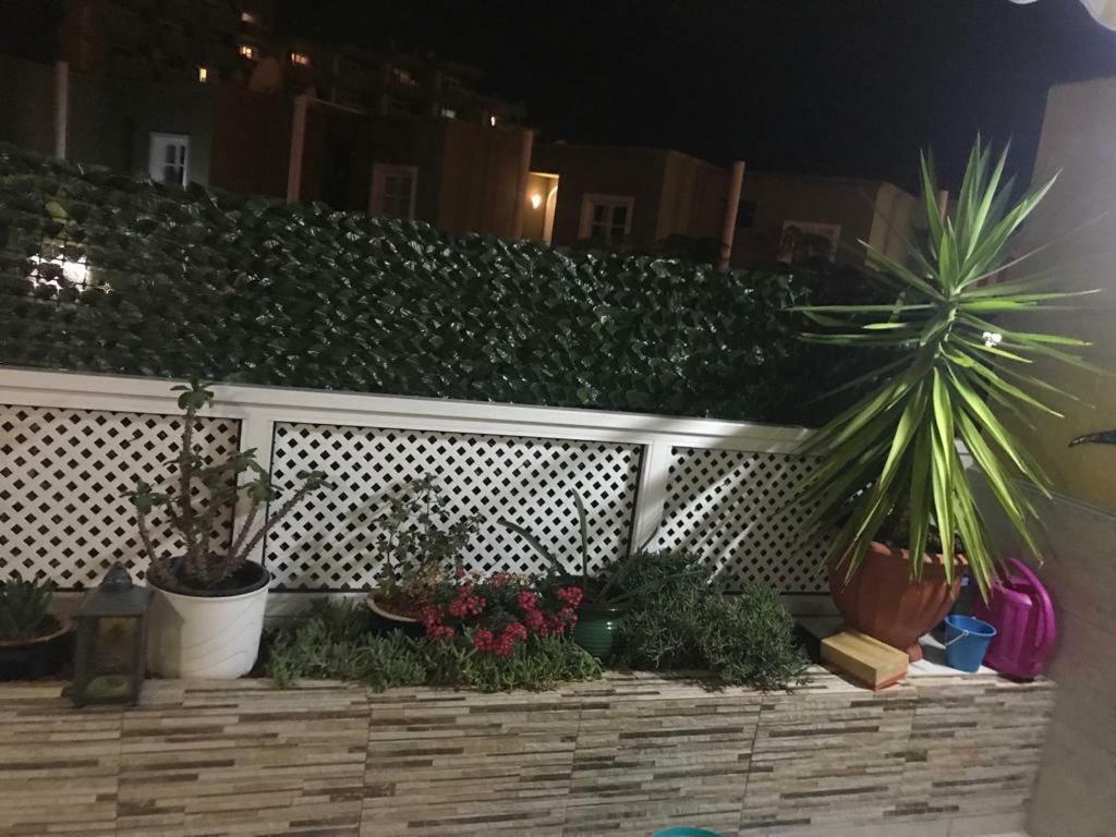 Orlando Apartamento