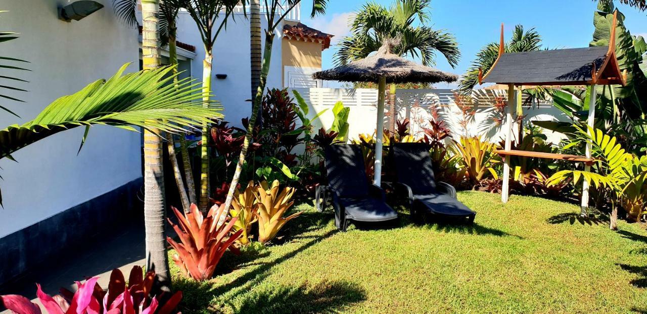 La Selvita * Bajamar (La Laguna)