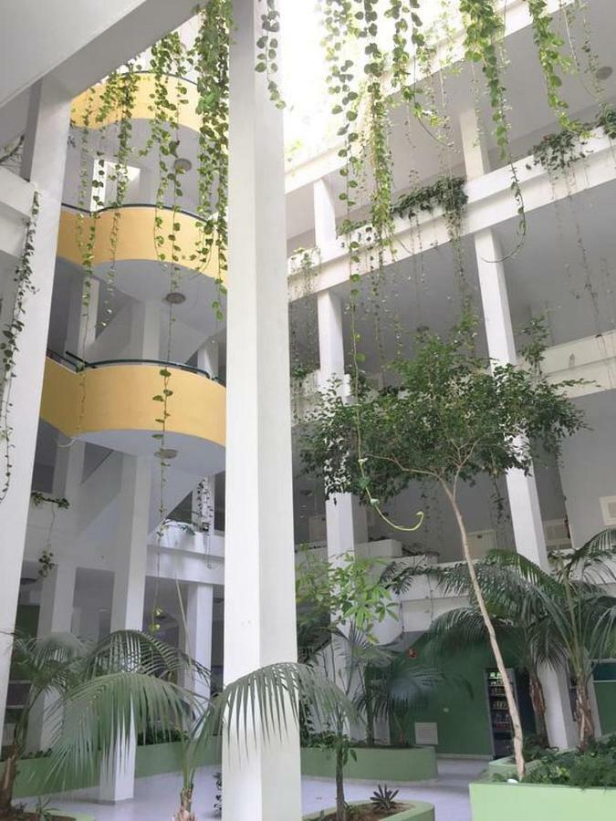Playa Jardin Sea View Terrace By The Sea With Wifi Apartment *