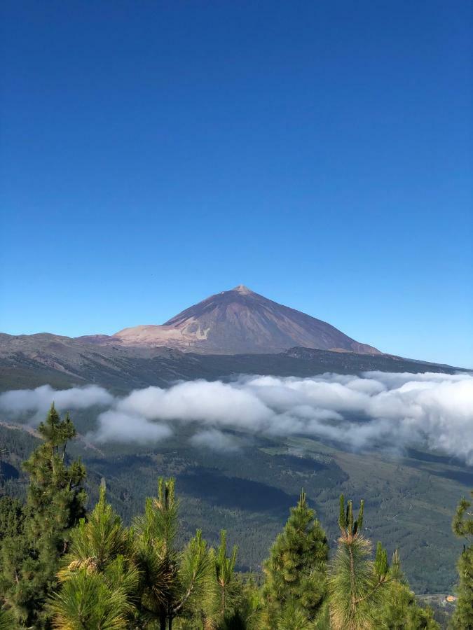 Mareverde * Costa Adeje (Tenerife)