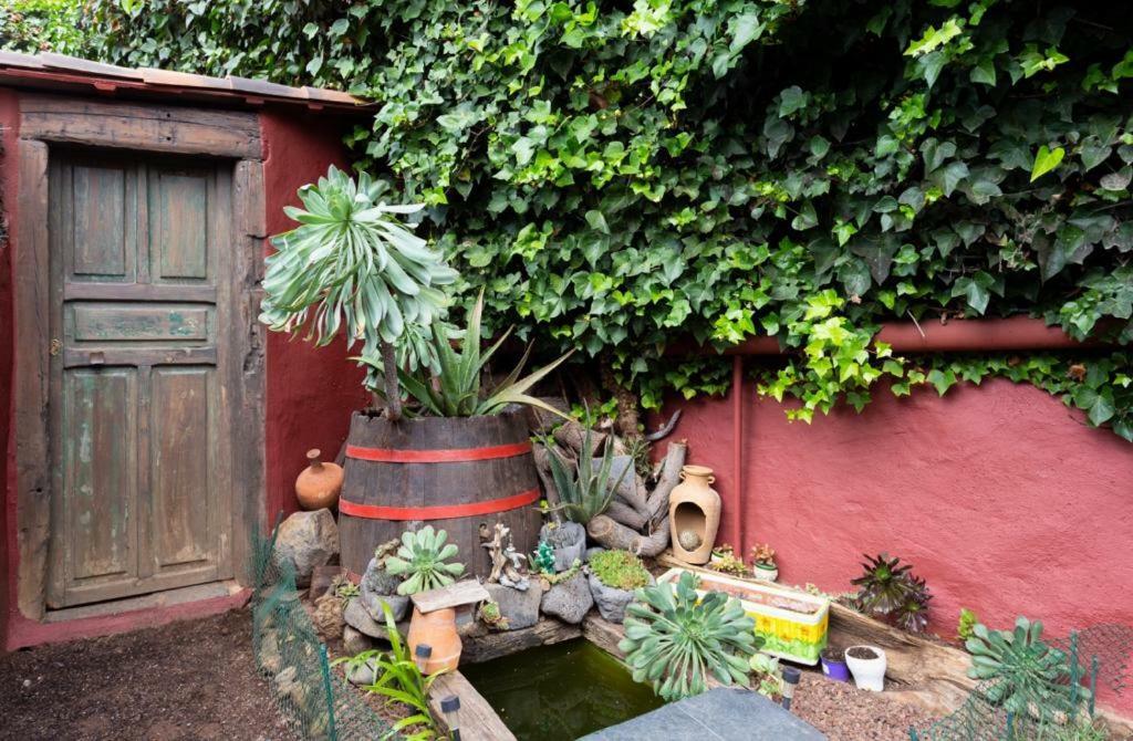 Casa Florida