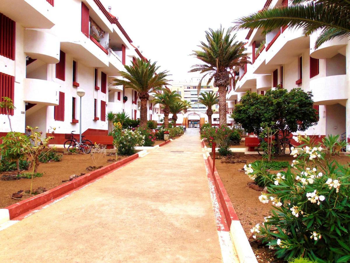 Apartment Altemar In Americas Playa de las Americas (Tenerife)