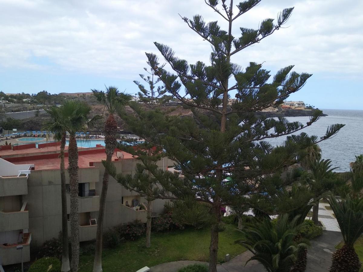 Garden View In Las Galletas Apartment